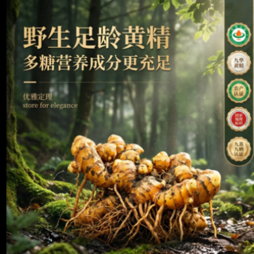 菁选灵创AI视觉设计展示图